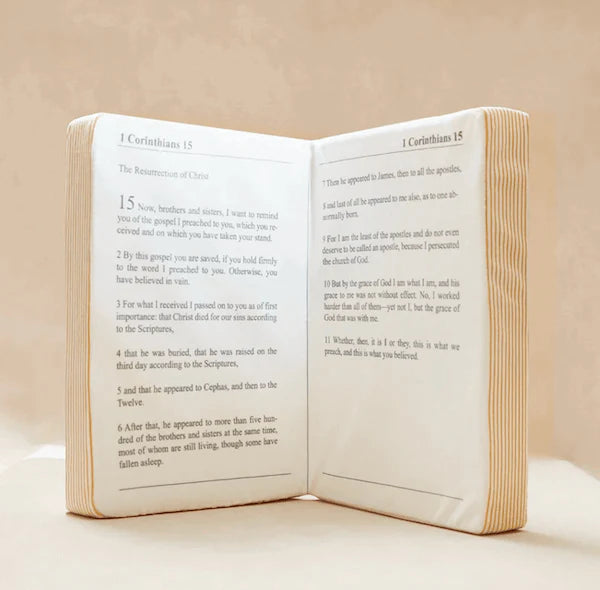 Holy Hug Bible – A Soft Plush to Embrace Faith